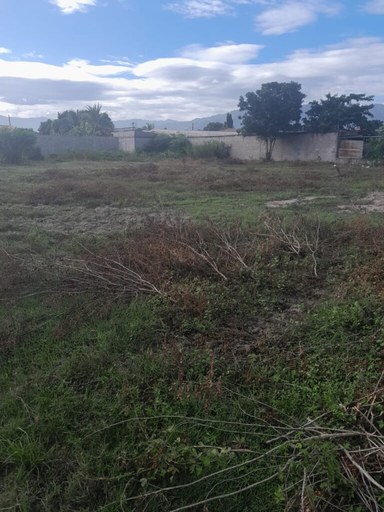 Terreno en venta con 3 solares cerca de calle pavimentada en Olanchito