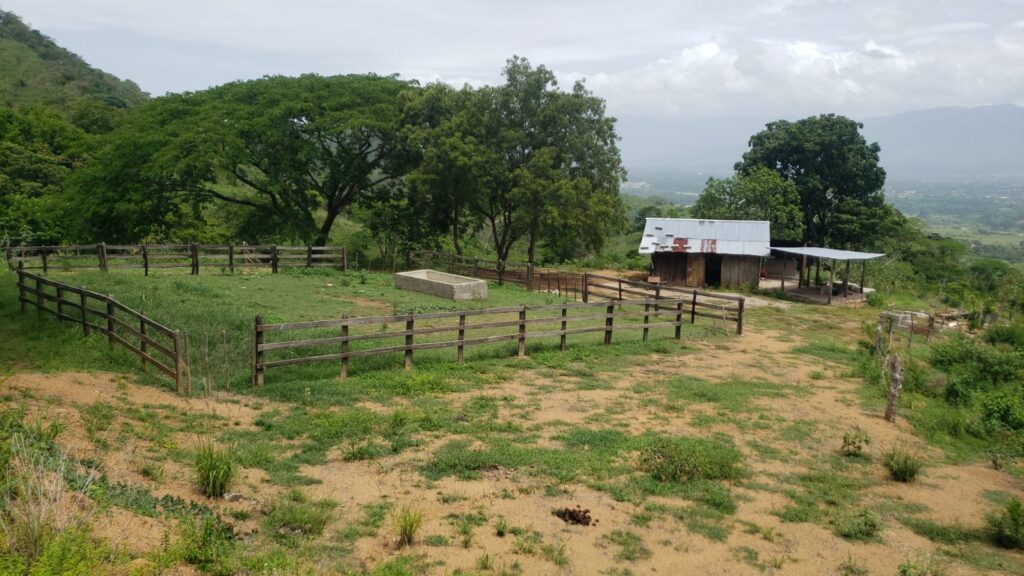 Finca en venta con casa para trabajador y corral cercado – Potrerillos, Valle Abajo, Olanchito