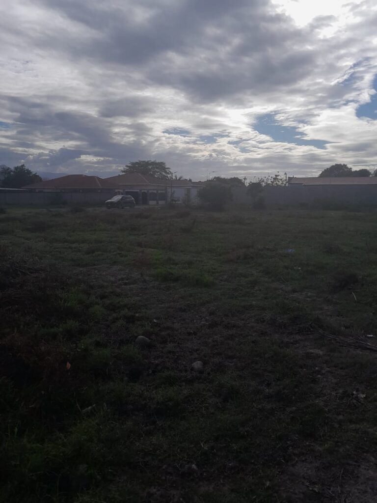 Fotografía del terreno, vista amplia hacia el fondo donde se observan viviendas y cielo parcialmente nublado.