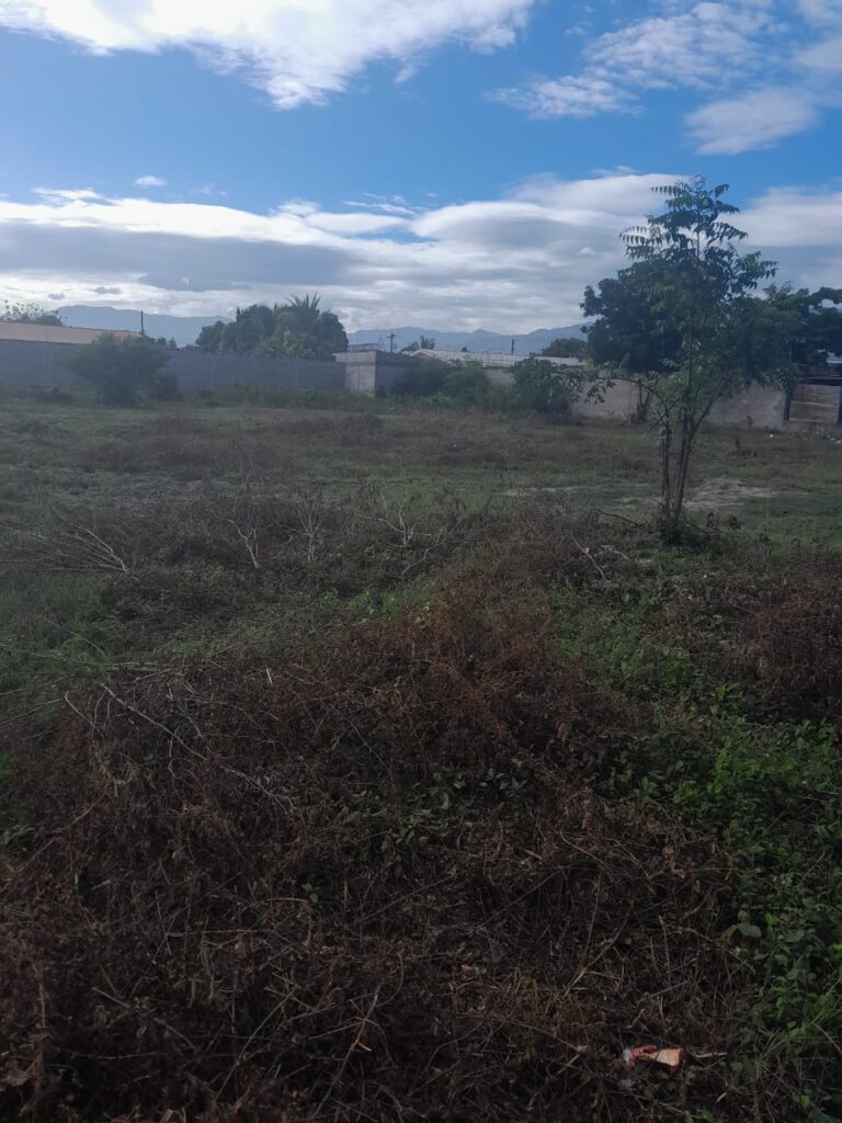 Terreno amplio, conformado por tres lotes juntos, ubicado cerca de carretera pavimentada.