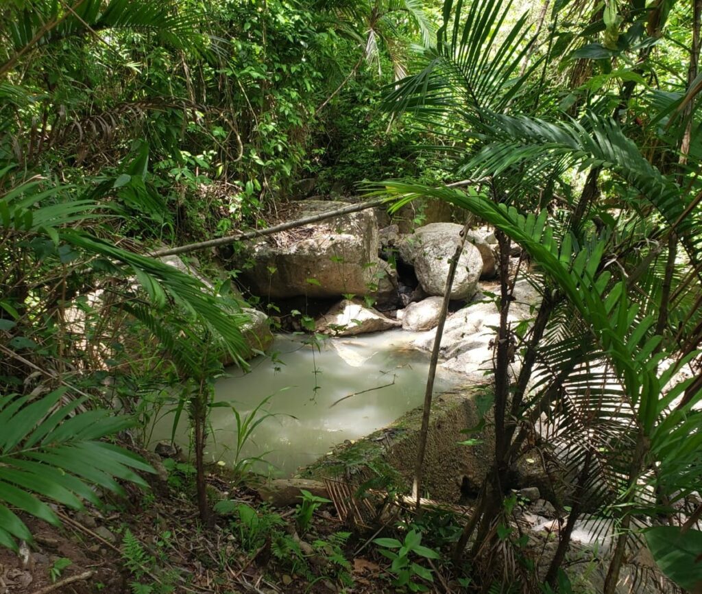 Nacimiento de agua natural en finca en venta – Potrerillos, Valle Abajo, Olanchito
