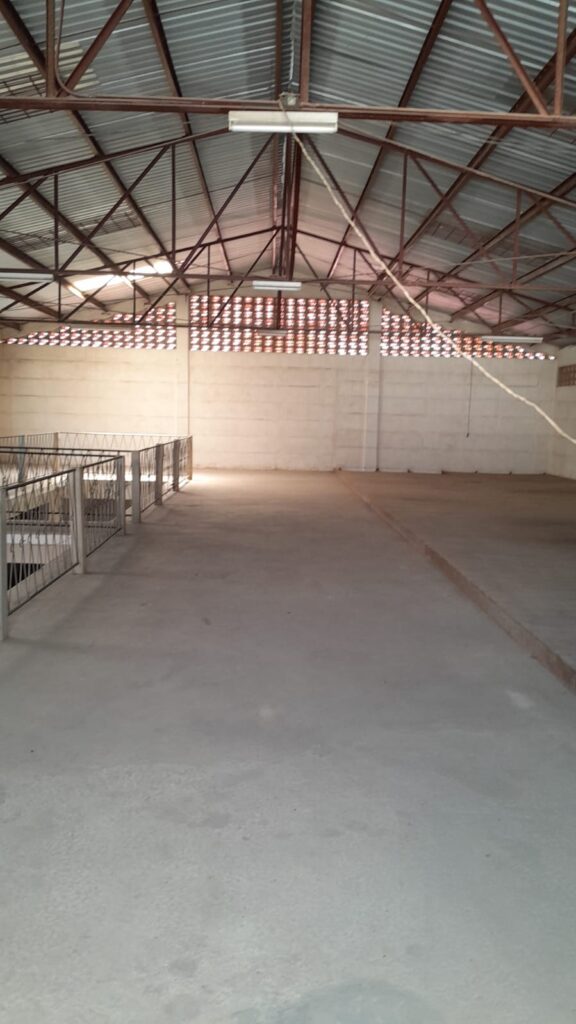 Vista lateral del segundo nivel del local en Olanchito, con piso de madera, estructura metálica y espacio abierto para uso comercial o administrativo.