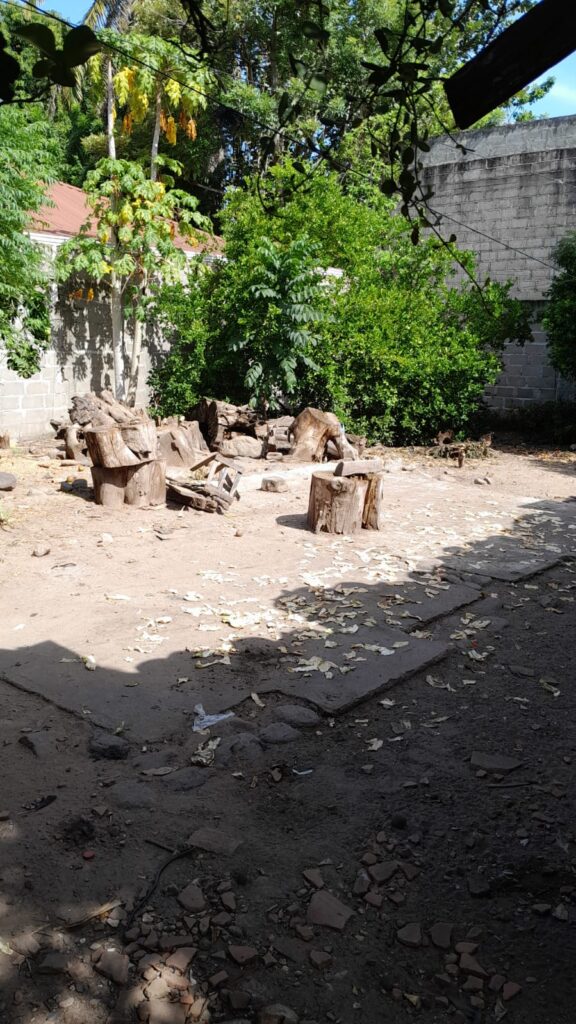 Terreno en venta en el centro de Olanchito, con árboles y espacio amplio listo para construcción o inversión inmobiliaria.