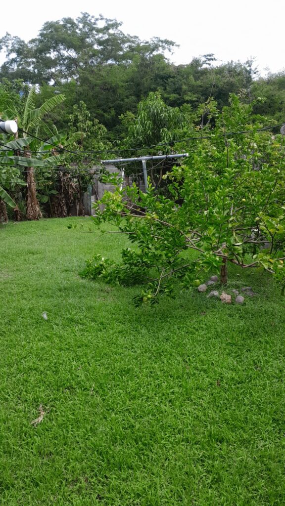 vista de amplio patio trasero en casa en venta en olanchito, Yoro