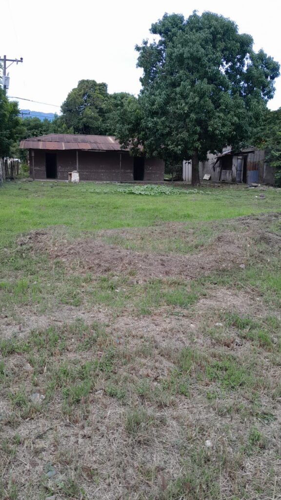 Terreno amplio con pequeña casa y árboles frutales en venta, ubicado en zona comercial de Olanchito, Yoro.