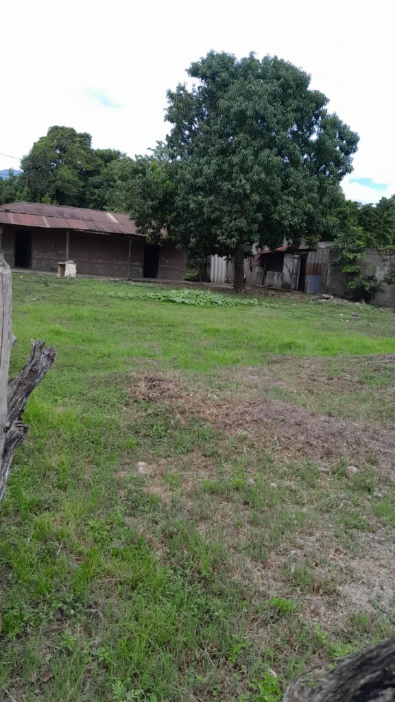 Terreno amplio con pequeña casa y árboles frutales en venta, ubicado en zona comercial de Olanchito, Yoro.