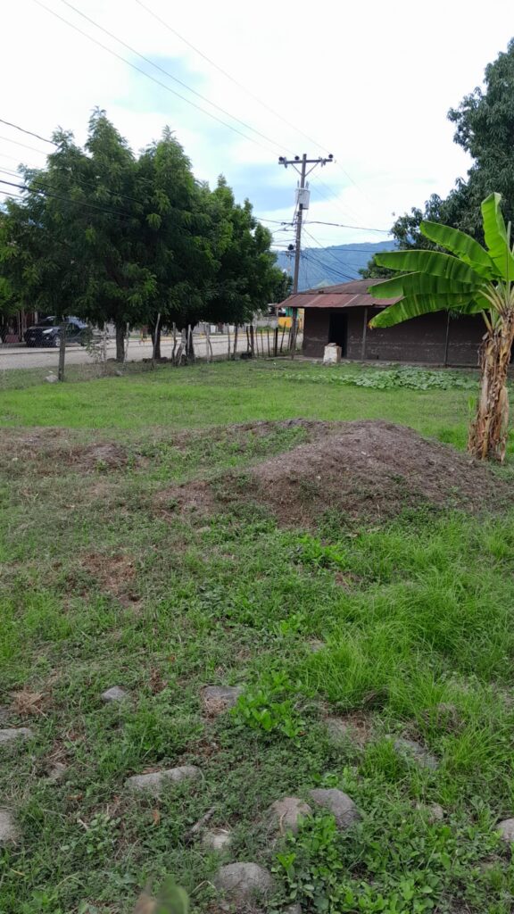 Terreno amplio con pequeña casa y árboles frutales en venta, ubicado en zona comercial de Olanchito, Yoro