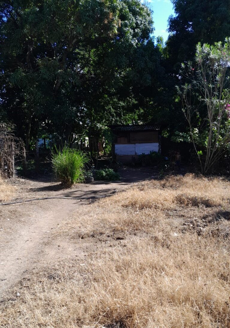 Terreno en venta en Colonia 15 de Septiembre de Olanchito, ubicado a una cuadra del Bulevar 15 de Septiembre, ideal para vivienda o inversión.