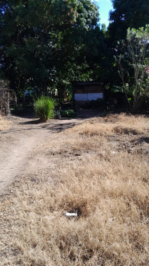 Terreno en venta en Colonia 15 de Septiembre de Olanchito, ubicado a una cuadra del Bulevar 15 de Septiembre, ideal para vivienda o inversión.