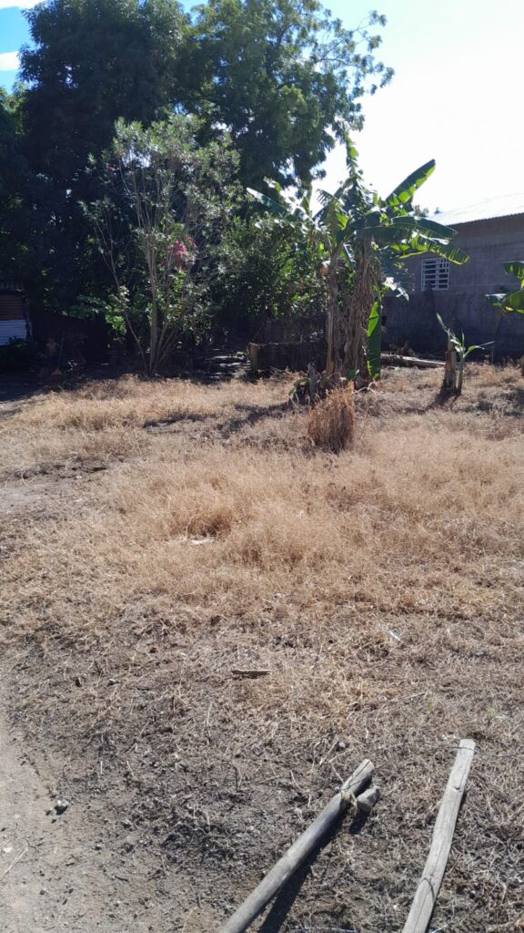 Terreno en venta en Colonia 15 de Septiembre de Olanchito, ubicado a una cuadra del Bulevar 15 de Septiembre, ideal para vivienda o inversión.