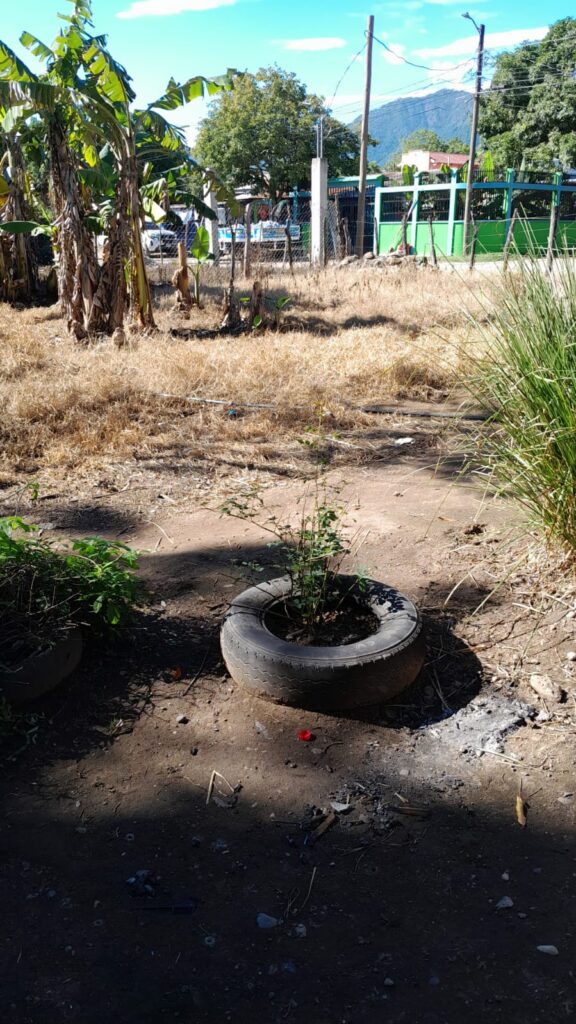 Terreno en venta en Colonia 15 de Septiembre de Olanchito, ubicado a una cuadra del Bulevar 15 de Septiembre, ideal para vivienda o inversión.