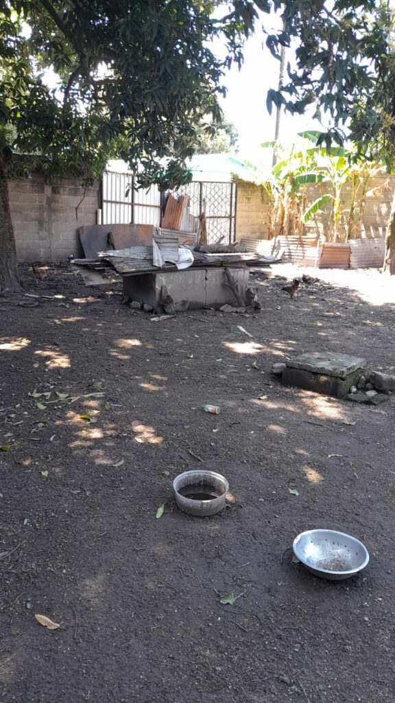 Amplio patio trasero con solar espacioso en casa en venta en Colonia Rosales, Olanchito