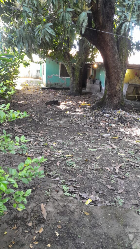 Área lateral de terreno comercial con vegetación y espacio disponible para desarrollo en Olanchito.