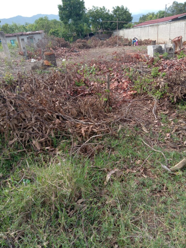 Terreno en venta de 831.57 m² en Colonia 24 de Mayo, Olanchito.