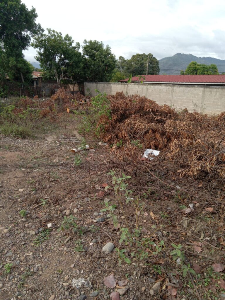 Amplio terreno en venta en Colonia 24 de Mayo, Olanchito.